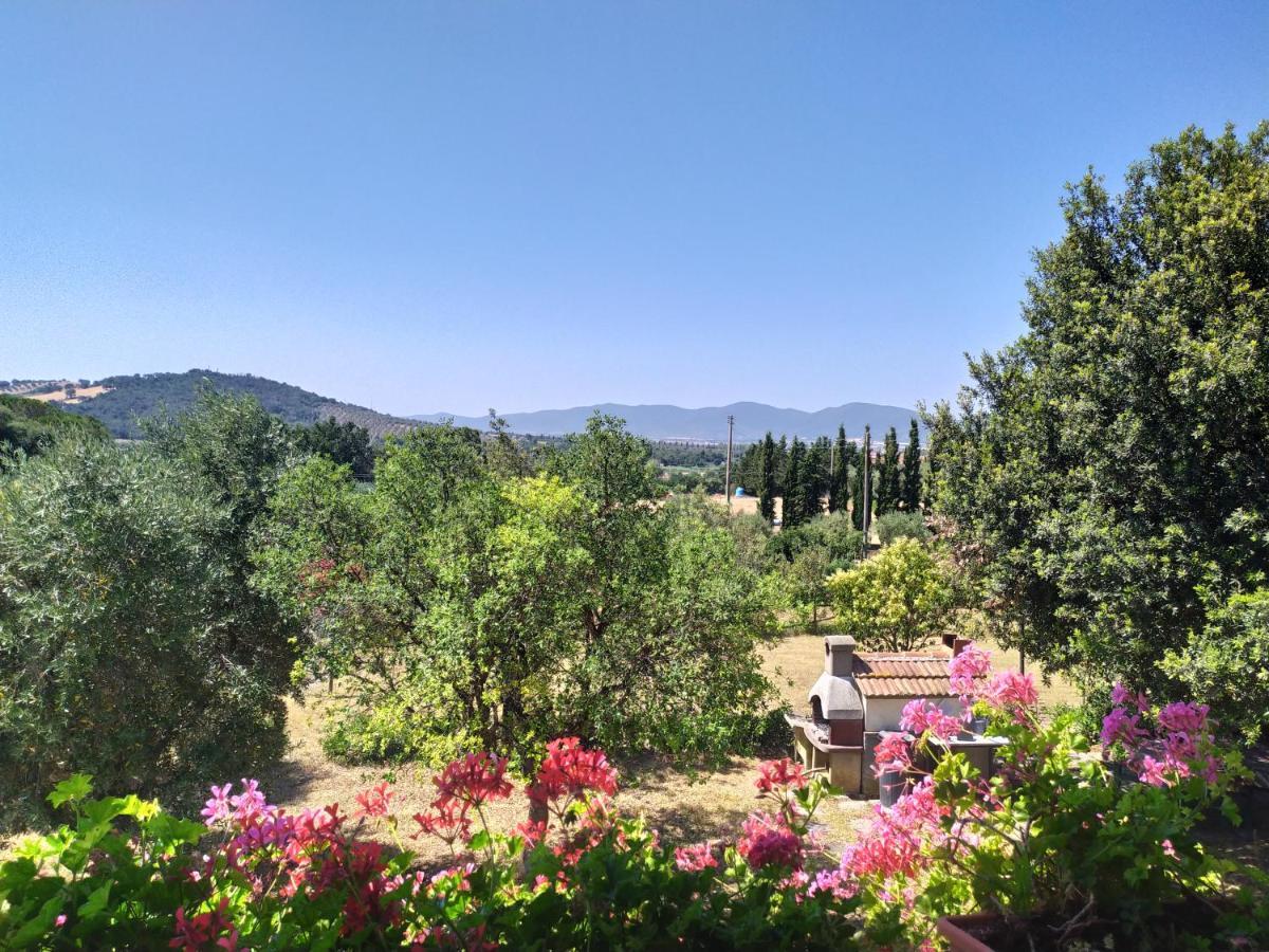 Agriturismo San Giorgino Grosseto Exteriör bild