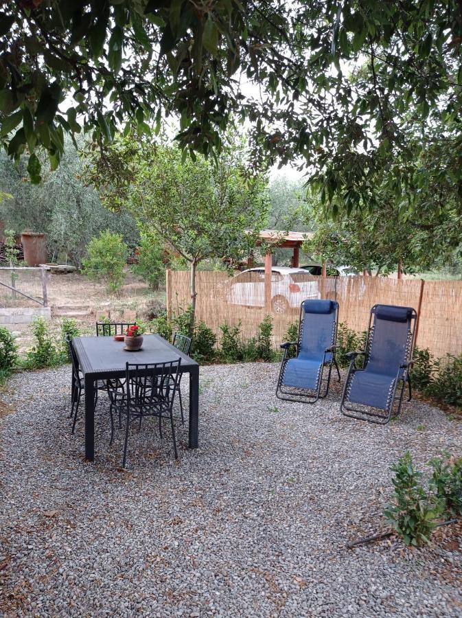 Agriturismo San Giorgino Grosseto Rum bild